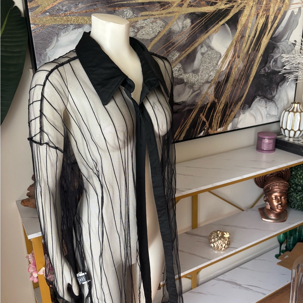 Sheer Black Striped Button-Up Tie Neck Blouse